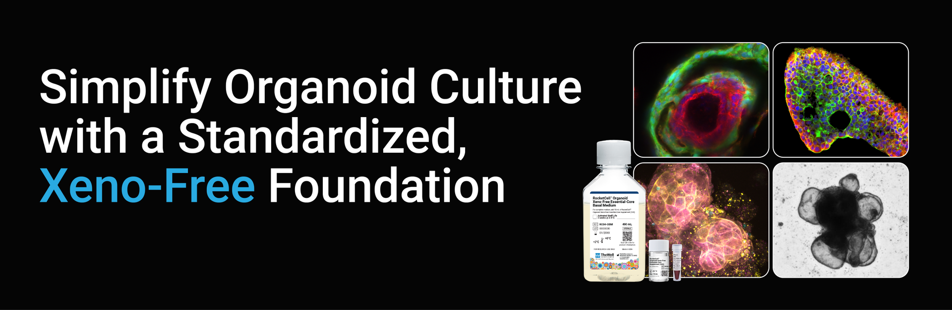 Universal Organoid Culture Medium RocketCell™ Organoid Xeno-Free Essential-Core Medium