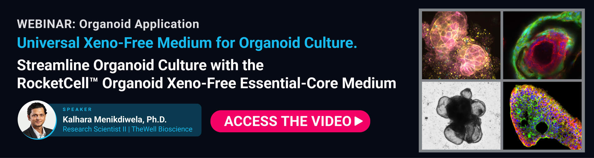Access the videor: Universal Organoid Culture Medium RocketCell™ Organoid Xeno-Free Essential-Core Medium