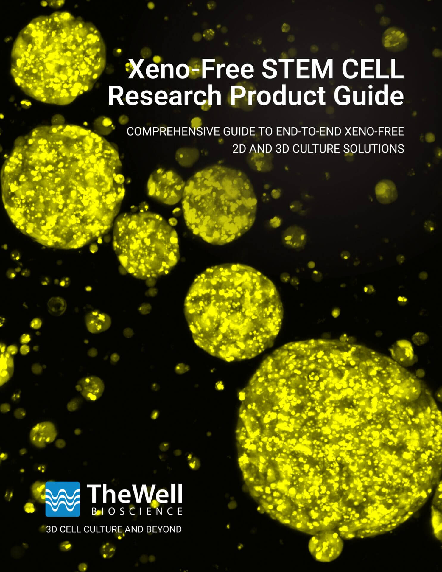 Xeno-Free Stem Cell Research Product Guide