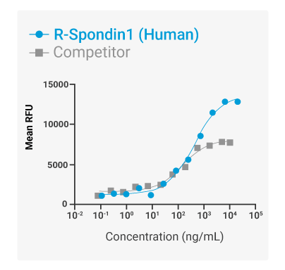 R-Spondin1 Bioactivity