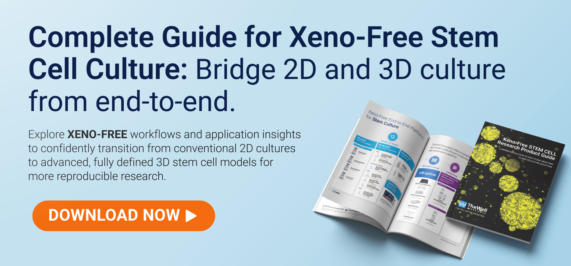 Complete Guide for Xeno-Free Stem Cell Culture: Bridge 2D and 3D Culture from End-to-End.